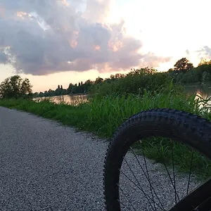 Nel Delta Del Po Taglio di Po